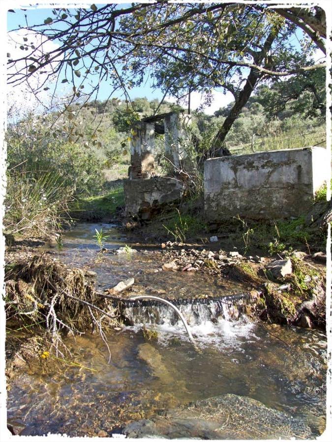 Cortijo Casas Viejas Villa Málaga Exteriör bild